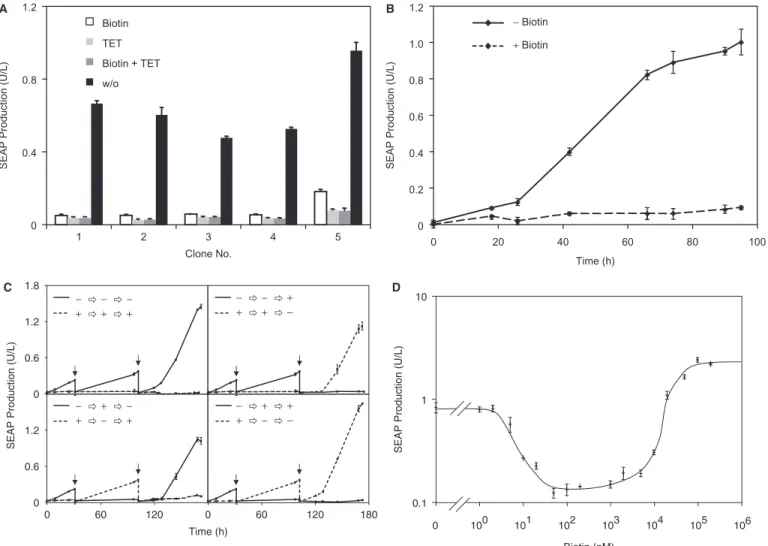 Figure 5. Characterization of the transgenic cell line Bio CHO-SEAP engineered for vitamin H-responsive SEAP expression