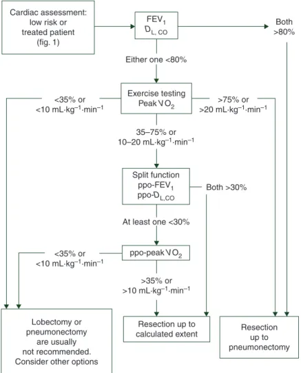 Figure 2. Preoperative respiratory evaluation (reprint from [35], with permission from the European Respiratory Society).