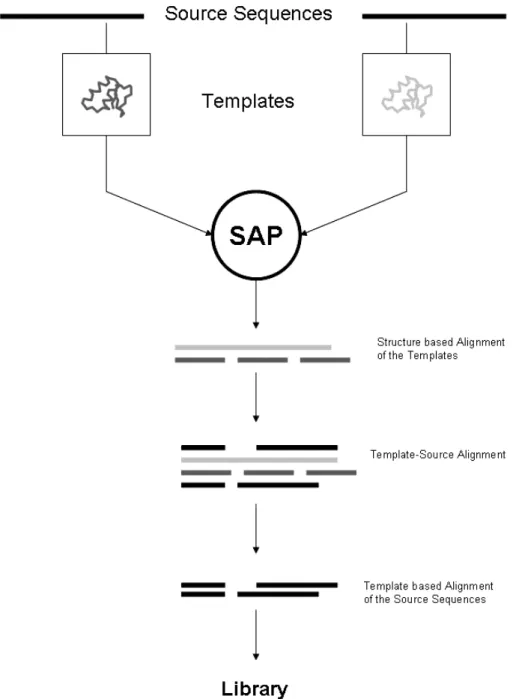 Figure 1. Computation of a template-based library. Structural templates are assigned to each original source sequence and these templates are used to generate a structure-based sequence alignment