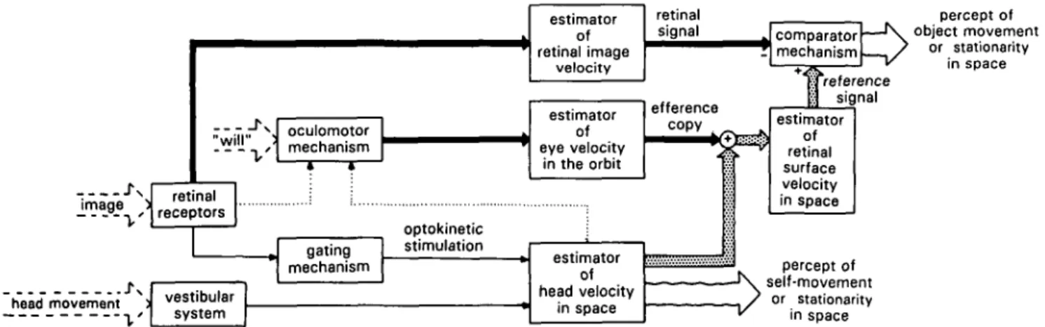 Figure 1. Functional model describing the generation of reference signals as they interrelate the percepts of ego motion and object motion in space
