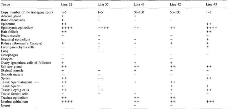 Table 2. Expression of lacZ reporter gene in different tissues of the five transgenic mouse lines