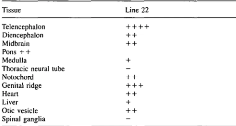 Table 3. Expression pattern of the reporter gene in embryonic tissue of mouse line 22 Tissue Line 22 Telencephalon Diencephalon Midbrain Pons + + Medulla