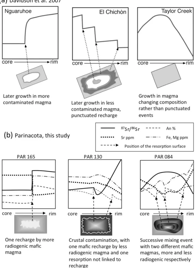 Fig. 11. Comparison of schematic Sr isotopic profile types from Davidson et al. (2007) and from this study