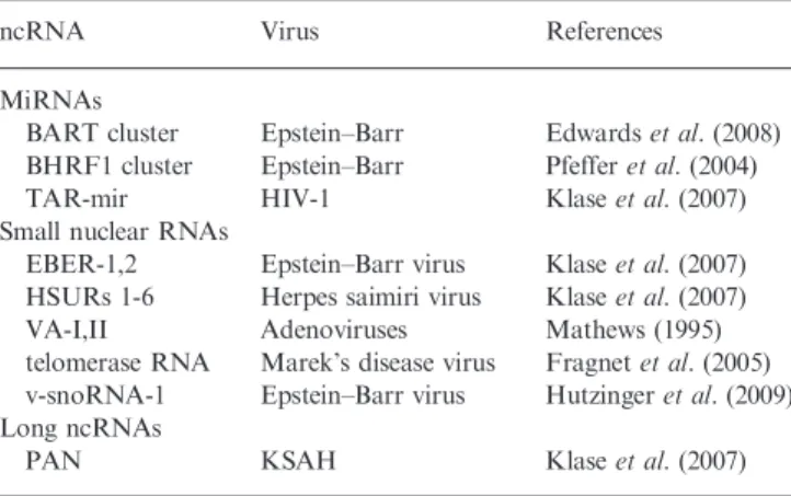Table 1. Examples of virus-encoded small RNAs