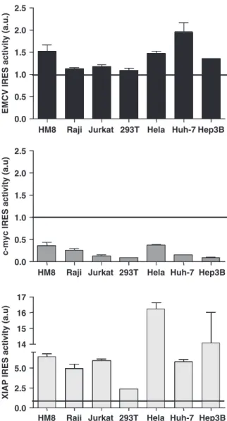 Figure 1. IRES activity in cell lines of diverse origins. IRES activity was estimated as the ratio between eGFP expression (second cistron) and mRFP (ﬁrst cistron) in the transduced population and normalized by values from mock transduced cells