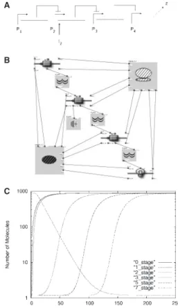 Fig. 2. Engineered cascades. (A) Scheme of the three-step cascade. Every stage is lead by a promoter (P i ); the first three genes produce a repressor, the last one a reporter protein (z)
