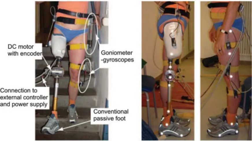 Figure 1 Experimental setup (left) and marker placement for gait analysis (right).