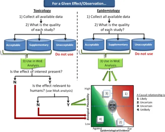 FIG. 7. Schematic representation of the framework for causal inference based upon weight of evidence of animal and epidemiological data.