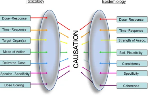 FIG. 1. Contribution of toxicology and epidemiology data to causal inference. Many of the same principles contribute to evidence-based decisions in the two fields