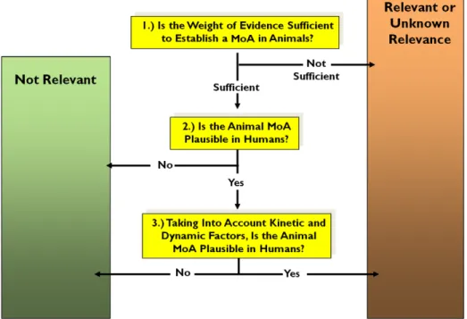 FIG. 3. The human relevance mode of action framework.