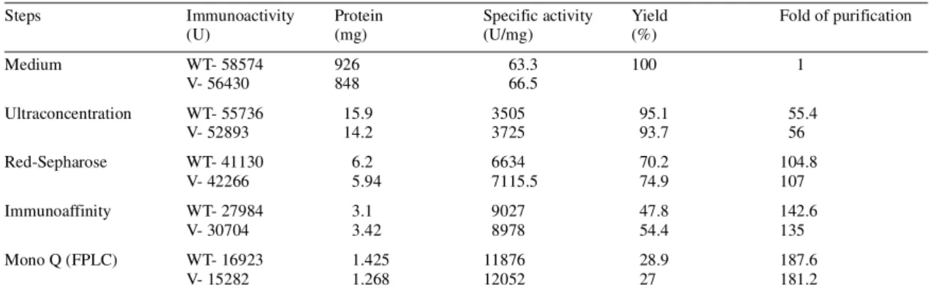 Figure 3. Assessment of purity of the rec WT- and V-LH preparations by SDS–PAGE. Rec LH preparations (5 ng) from different steps of purification (lanes 2–9) as indicated, were electrophoresed on SDS buffer strips as described in Materials and Methods