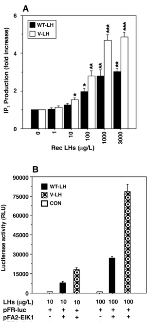 Figure 9. Effects of rec WT- and V-LH on IP 3  production, and activity of the MAPK pathways