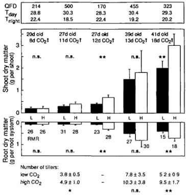 Fig. 2. Continuous recordings of leaf expansion growth measured by inductive displacement transducers in four cohorts of wheat seedlings.