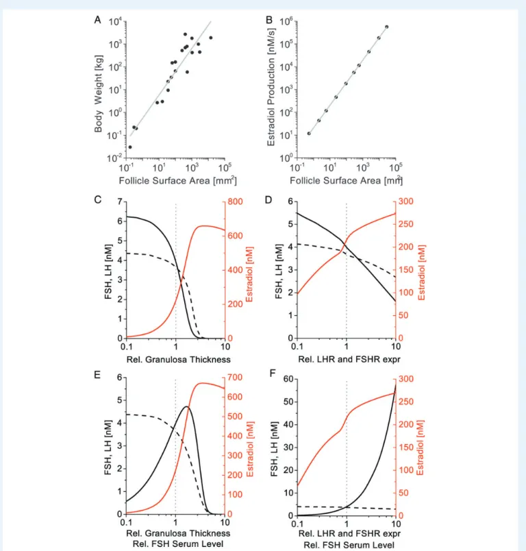 Figure 7 Diffusion-based limits in granulosa cell layer thickness can explain scaling of follicle size with species weight