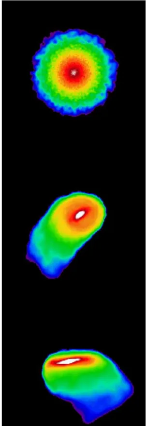 Figure 15. Projected velocity (left) and velocity dispersion (right) profiles for three different orientations of the LMC disc