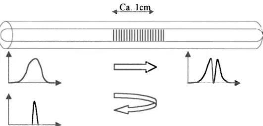 Figure 5: Fiber Bragg Grating Functional Principle 