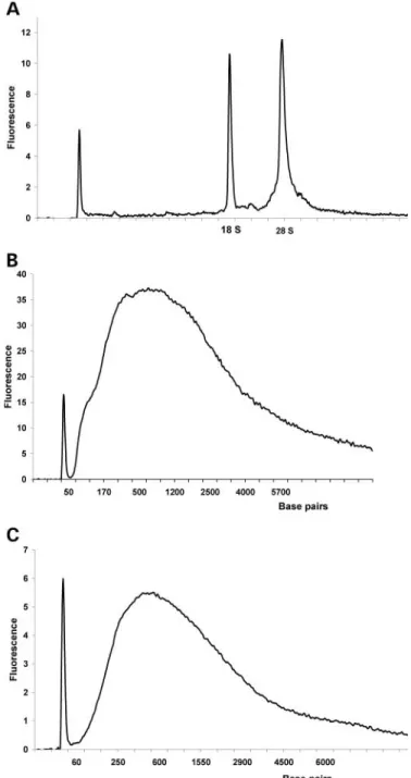 Figure 2. Quality of initial and amplified RNAs. The Agilent LabChip tech- tech-nology was used to control the quality of the RNA