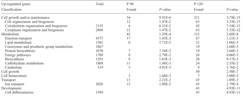 Table 4. Classification of over-represented genes obtained by microarrays in motoneurons of SOD1 G93A mice during the disease progression using the gene ontol- ontol-ogy database (http://www.geneontolontol-ogy.org/)