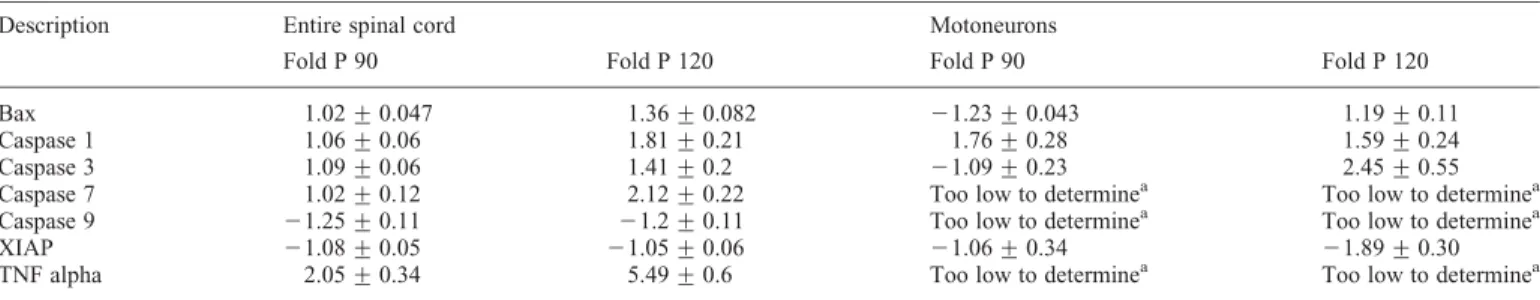 Table 5. Comparison of the fold changes of genes involved in apoptotic and inflammatory pathways observed in entire spinal cord segments versus microdissected motoneurons using real-time PCR