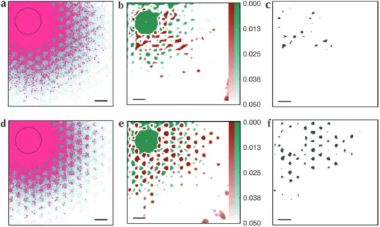 Figure 7. Models IV and V: Very large simulated injections into a model with nonpatchy regions (Model IV: a--c) and an model with regions of longer projections (Model V: d--f).