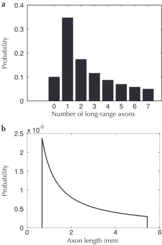 Figure 2. Distributions of the number (a) and length (b) of axonal collaterals arising from a single neuron