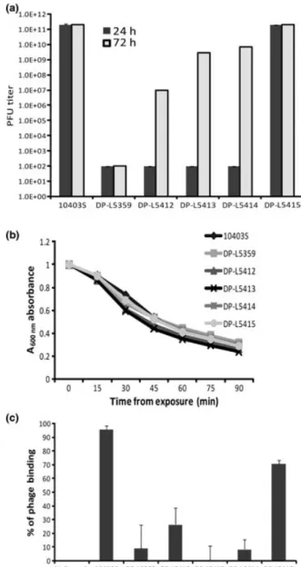 Fig. 3. The susceptibility of Listeria monocytogenes 10403S, PTPs deletion mutant DP-L5359, and complemented strains to Listeria phage A511