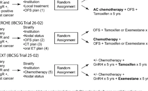 Figure 1. Trial designs for (A) International Breast Cancer Study Group (IBCSG) Trial 11-93, (B) Premenopausal Endocrine Responsive Chemotherapy (PERCHE) trial and (C) Tamoxifen and Exemestane Trial (TEXT)