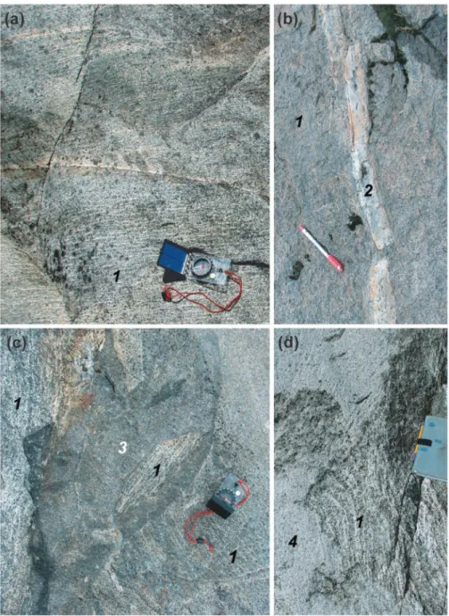 Fig. 3. Field photographs of the TPIC feeder zone. (a) Layered gabbronorite, with centimetre-thick, leucocratic, plagioclase-rich zones alternat- alternat-ing with mesocratic, pyroxene-rich zones