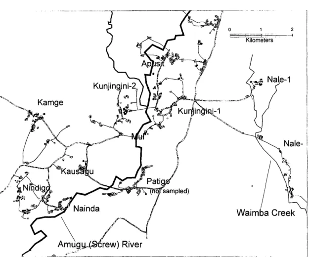 Fig. 1. Map of VVosera area, showing sampled (filled boxes) and unsampled (open boxes) houses, all-weather roads (---), footpaths ( ), Amugu (Screw) River, and Waimba creek.