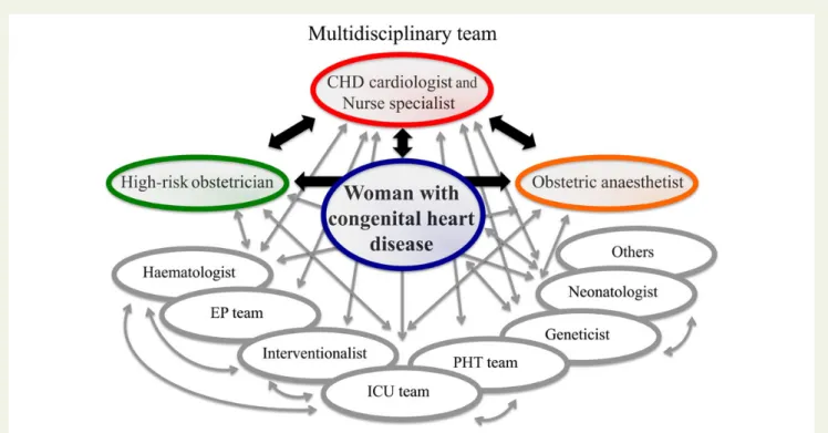 Figure 4 Multi-disciplinary team. CHD, congenital heart disease; EP, electrophysiology; ICU, intensive care unit; PHT, pulmonary hypertension.