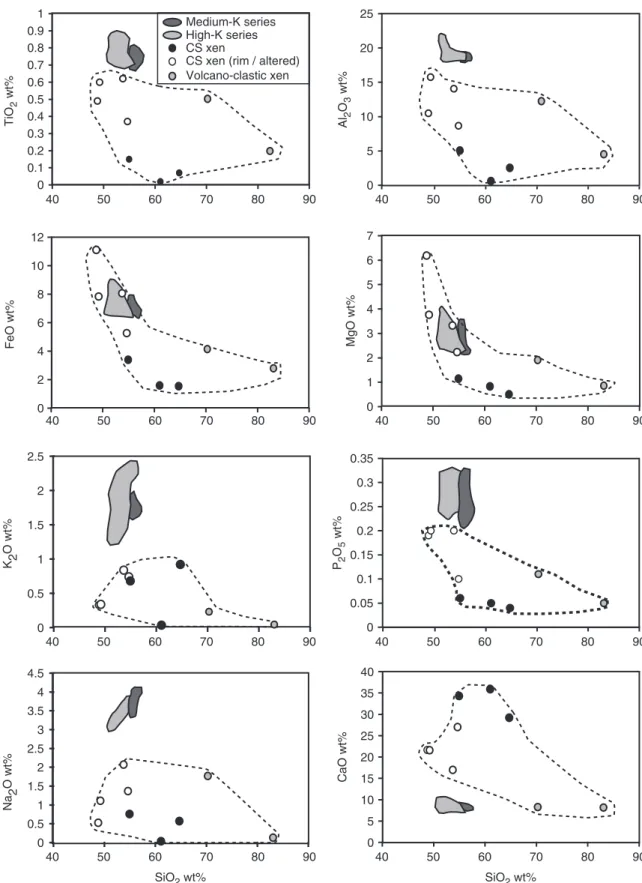 Fig. 3. Major element variations in the xenoliths relative to the Merapi basaltic andesites (Gertisser &amp; Keller, 2003a)