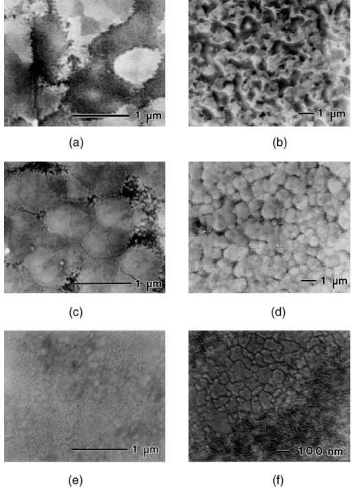 FIG. 2. SEM images of the surfaces of (a) and ( b) (100), (c) and (d) (111), and (e) and (f) (110) y (111) textured films