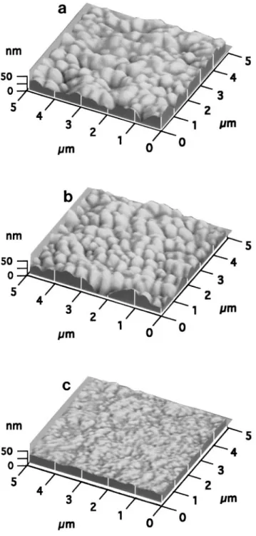 FIG. 3. AFM images of the surfaces of (a) (100), ( b) (111), and (c) (110) y (111) textured films.