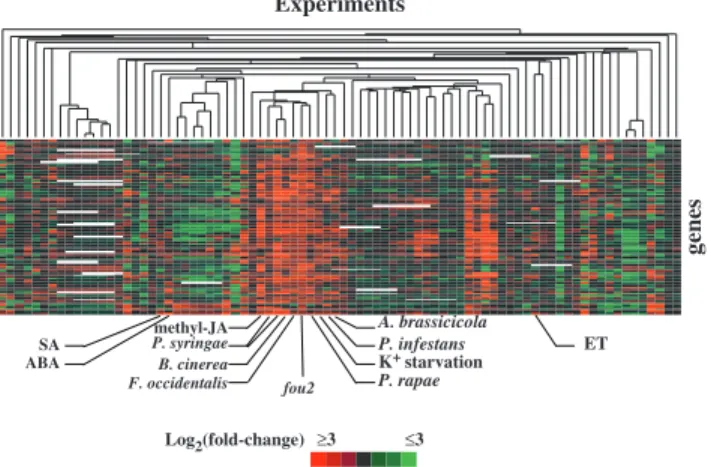 Fig. 2 Cluster analysis of gene expression responses in fou2.