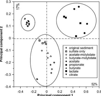 Fig. 2. Factorial map of 17 SRB-related PLFA in the principal component analysis presented in Fig