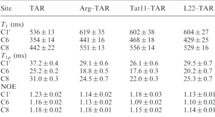 Table 1. The average relaxation times (ms) and heteronuclear NOE values for the helical residues of unbound TAR and its three complexes