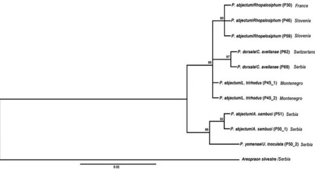 Table 2. Procrustes distances (below diagonal) and Mahalano- Mahalano-bis distances (above diagonal) between the mean wing shapes of three biotypes