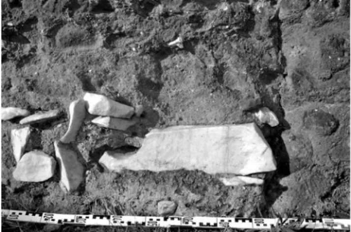 Fig. 11. Palatine, temple of Apollo, S corner of the cella founda- founda-tions; detail of the aggregate material used to construct the spot  foundations that were inserted into the corners of the cella in the  late-antique period