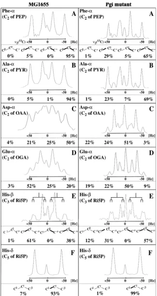 Fig. 2. 13 C scalar coupling ¢ne structures observed for fractionally 13 C- C-labeled amino acids obtained from wild-type E