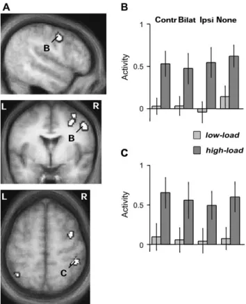 Figure 3C plots activity in each condition, averaged across the entire right occipital cluster revealed by the LVF-minus-RVF stimulation contrast, providing a ﬁrst indication of the impact of our central-load manipulation on responses of the visual cortex.