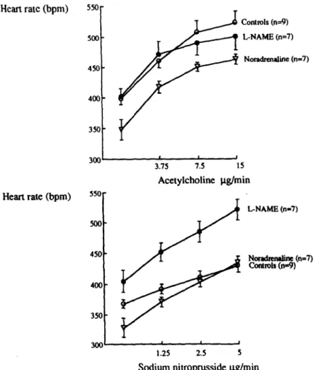 Fig.  7.  Effect  of  increasing doses of  acetylcholine  (upper  panel)  and  sodium  nitroprusside (lower  panel)  on  heart  rate of  L-NAME,  control  and  noradrenaline-infused  rats (mean f  s.e.m.)