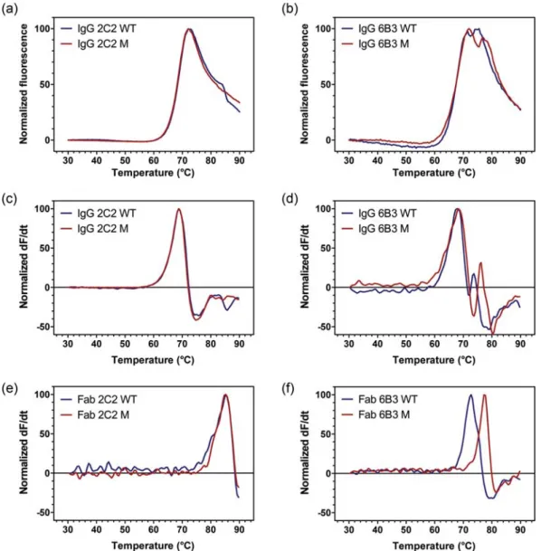 Fig. 6. Characterization of HEK-produced antibodies by DSF. Comparison of normalized DSF signals of HEK-produced antibody WT (blue) and M (red) variants