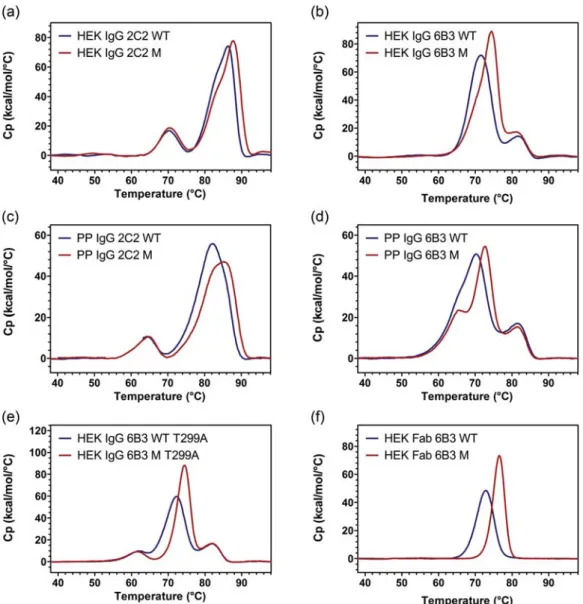 Fig. 7. Analysis of IgG domain stability by DSC. Signals derived from WT variants are shown in blue while those of the mutant M are represented in red.