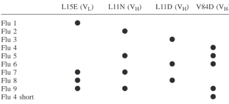 Table II. Mutations introduced in the scFv fragment of the antibody 4-4-20 compared with V84D alone is not improved further (Figure 3B).
