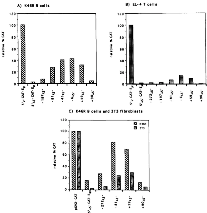 Fig. 4. CAT activity of 5',^ deletion constructs in B cells, T cells and fibroblasts. The cells were transfected with the  5 ' ^ deletion constructs in Fig.
