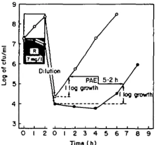 Figure 1. Postantobiotic effect (PAE) of roxithromycin (R) on Sir. pneumoniae ATCC 27336