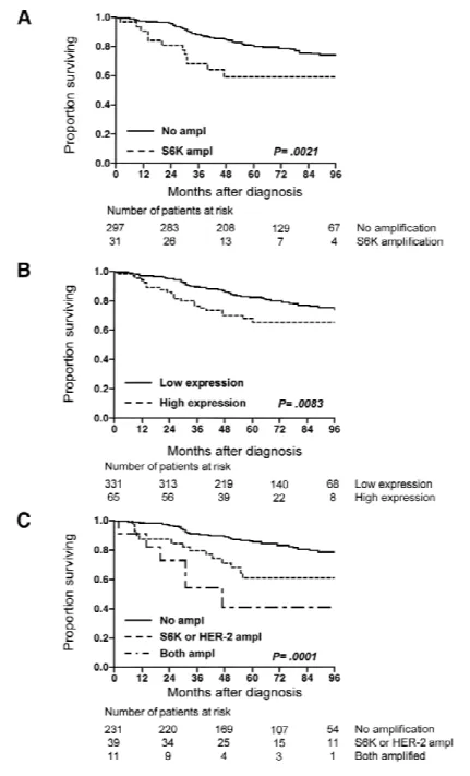 Fig. 4. Kaplan–Meier analysis of breast cancer-specific survival.