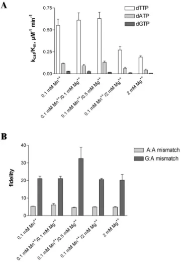 Figure 5. (A)The intrinsic mutator phenotype of pol l is not affected by the combination of Mn ++ and Mg ++ over a wide range of molar ratios