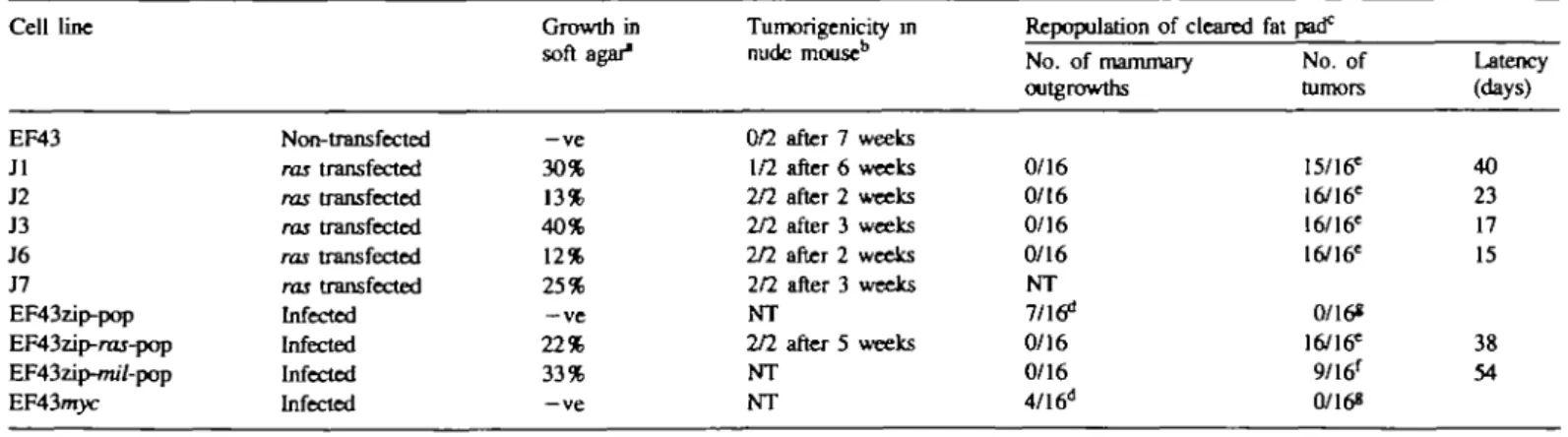 Table I. Effects of oncogenes introduced into Cell line EF43 Jl J2 J3 J6 J7 EF43zip-pop EF43zip-raj-pop EF43zip-/m7-pop EF43nryc &#34;1 x  l o 3  ceUs plated