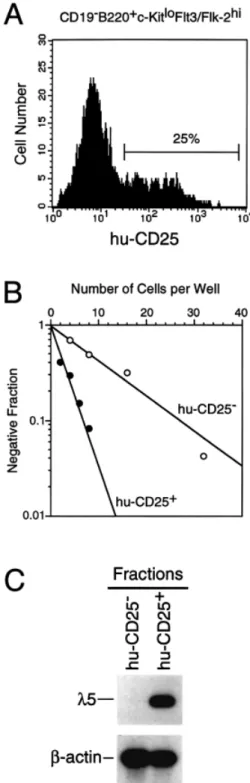 Table 2 shows striking differences in the number of cells with sequence: (i) B220 ⫹ CD19 – c-Kit lo Flt3/Flk-2 hi (huCD25 – )λ5 – , (ii) B220 ⫹ CD19 – c-Kit lo Flt3/Flk-2 hi (huCD25 ⫹ ) λ 5 ⫹ , (iii) B220 ⫹germline versus DHJH-rearranged IgH alleles
